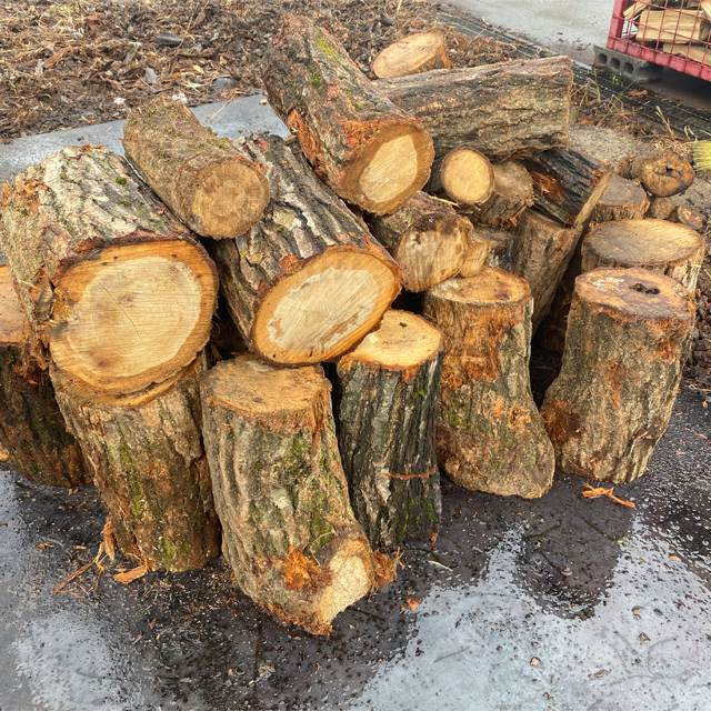 ナラ玉切りイメージ